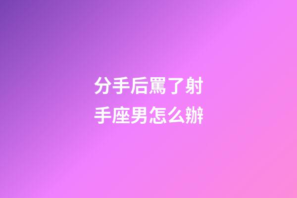 分手后罵了射手座男怎么辦-第1張-星座運勢-玄機(jī)派