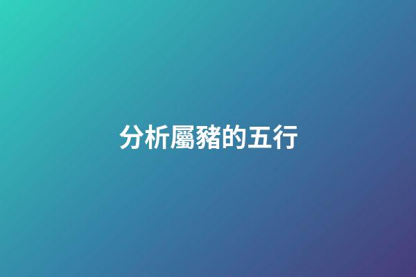 分析屬豬的五行