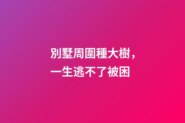 別墅周圍種大樹，一生逃不了被困
