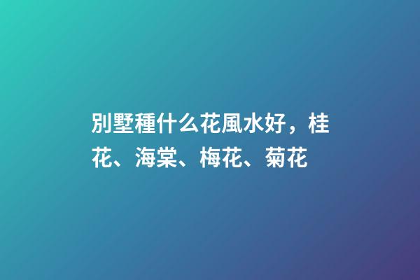 別墅種什么花風水好，桂花、海棠、梅花、菊花