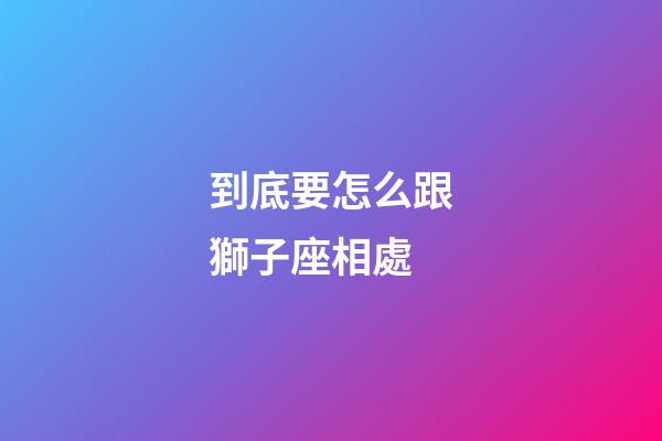 到底要怎么跟獅子座相處-第1張-星座運勢-玄機派
