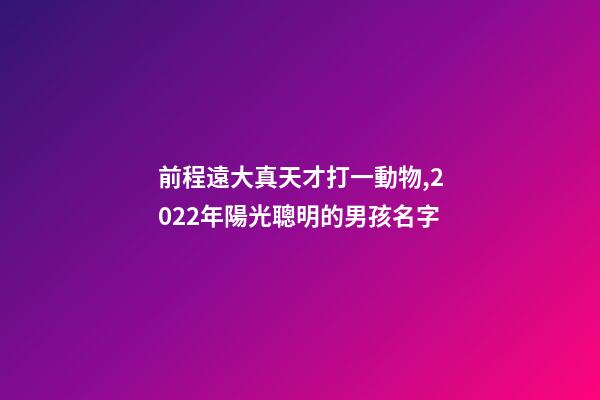 前程遠大真天才打一動物,2022年陽光聰明的男孩名字-第1張-觀點-玄機派