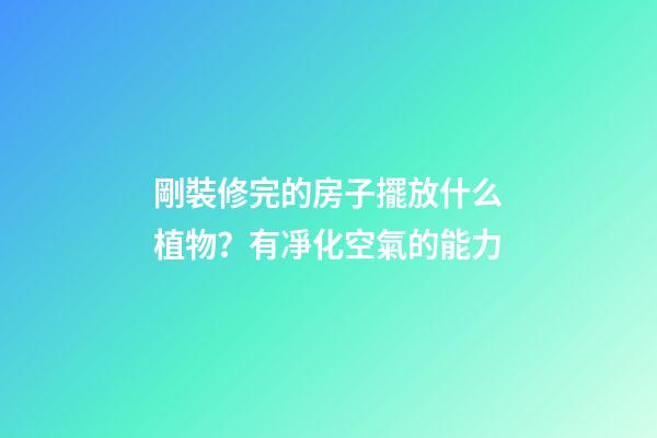 剛裝修完的房子擺放什么植物？有凈化空氣的能力