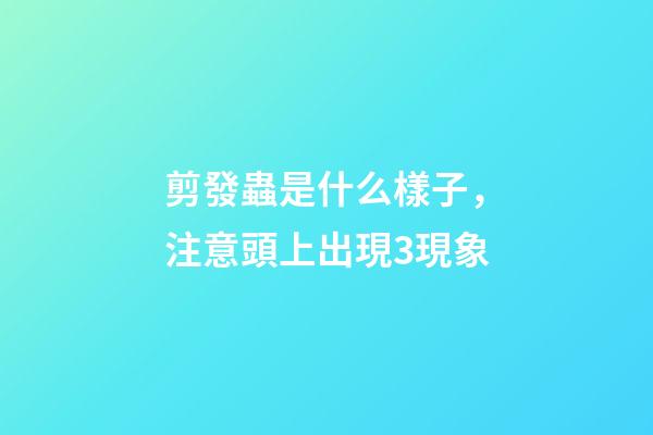 剪發蟲是什么樣子，注意頭上出現3現象-第1張-觀點-玄機派