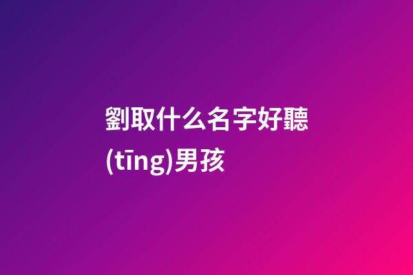 劉取什么名字好聽(tīng)男孩(劉取什么名字好聽(tīng)男孩子)-第1張-男孩起名-玄機(jī)派