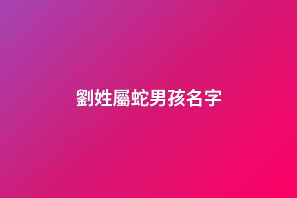 劉姓屬蛇男孩名字(劉姓男孩名字大全2023屬鼠免費)-第1張-男孩起名-玄機派