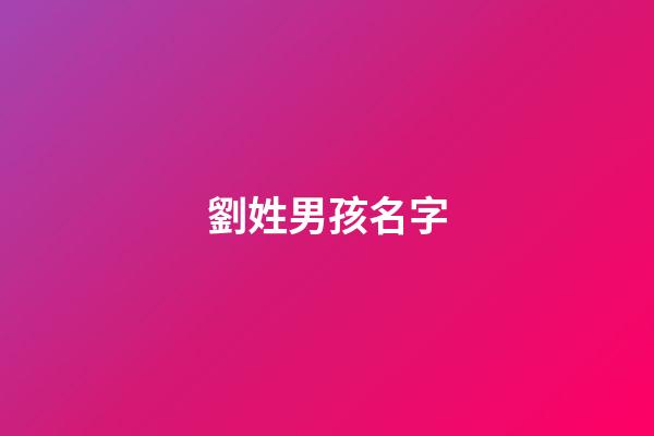 劉姓男孩名字(劉姓男孩名字大全2023屬兔)-第1張-男孩起名-玄機派
