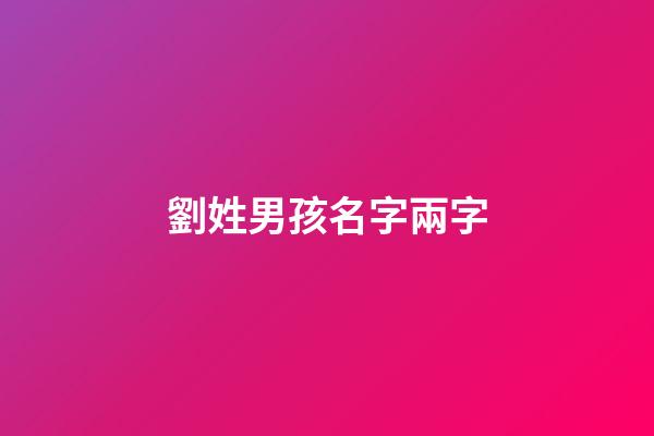 劉姓男孩名字兩字(劉姓男孩名字兩個字的名字)-第1張-男孩起名-玄機派