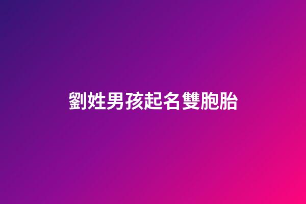 劉姓男孩起名雙胞胎(劉姓男孩起名雙胞胎名字)-第1張-男孩起名-玄機派