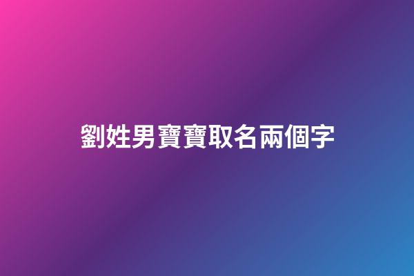 劉姓男寶寶取名兩個字(劉姓男寶寶取名兩個字的名字)-第1張-男孩起名-玄機派
