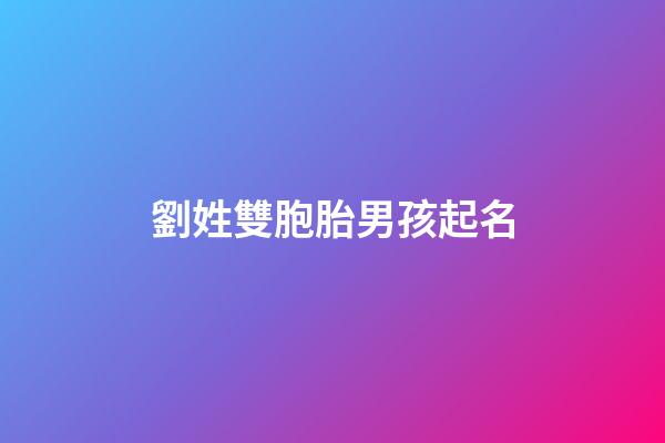 劉姓雙胞胎男孩起名(劉姓雙胞胎男孩起名大全)-第1張-男孩起名-玄機派