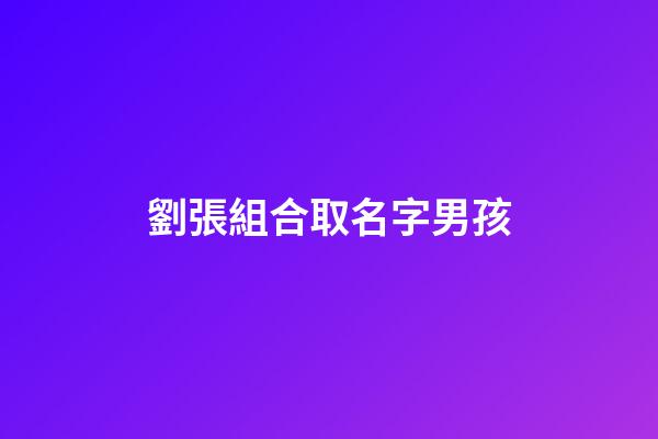 劉張組合取名字男孩(劉張組合取名字男孩怎么取)-第1張-男孩起名-玄機(jī)派