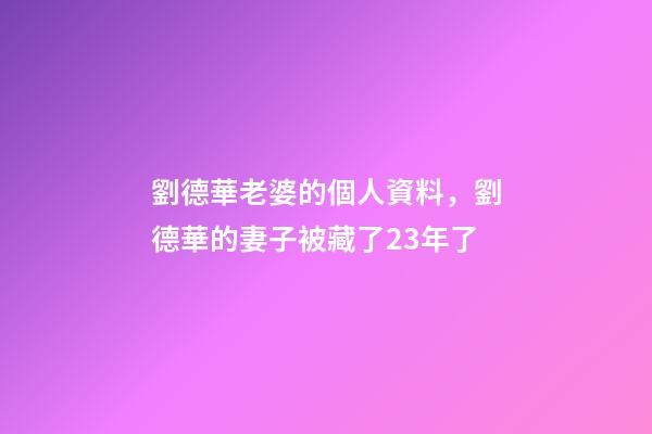 劉德華老婆的個人資料，劉德華的妻子被藏了23年了-第1張-觀點-玄機派
