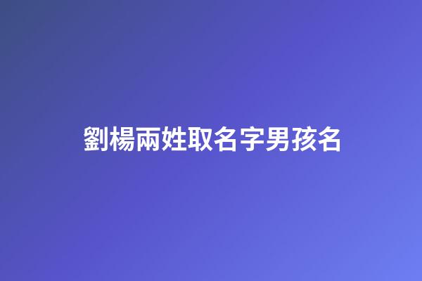 劉楊兩姓取名字男孩名(劉楊取名字怎么取)-第1張-男孩起名-玄機派