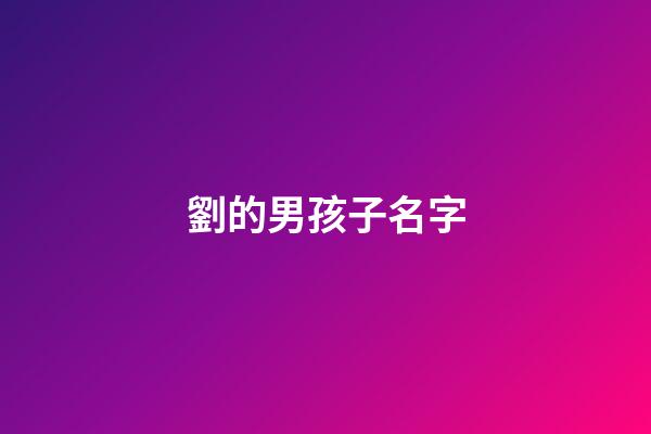 劉的男孩子名字(取名字劉男孩名字)-第1張-男孩起名-玄機派