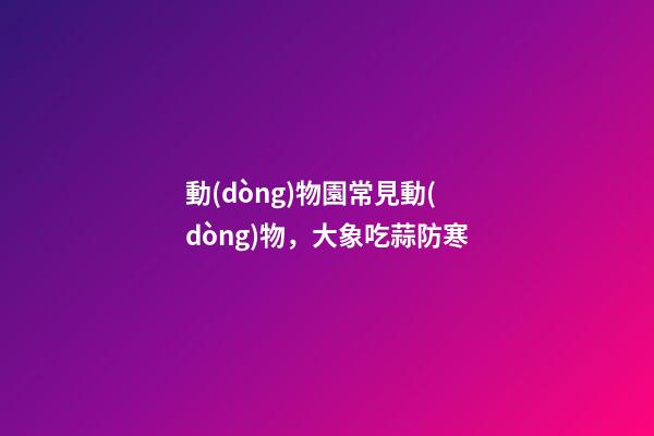 動(dòng)物園常見動(dòng)物，大象吃蒜防寒-第1張-觀點(diǎn)-玄機(jī)派