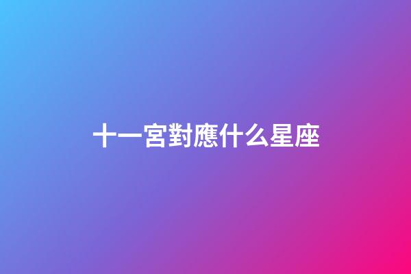 十一宮對應什么星座