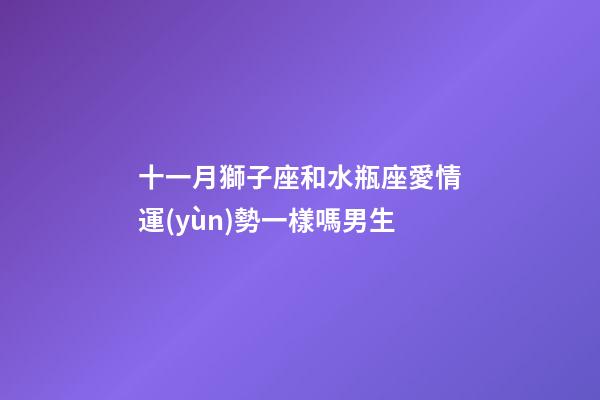 十一月獅子座和水瓶座愛情運(yùn)勢一樣嗎男生-第1張-星座運(yùn)勢-玄機(jī)派