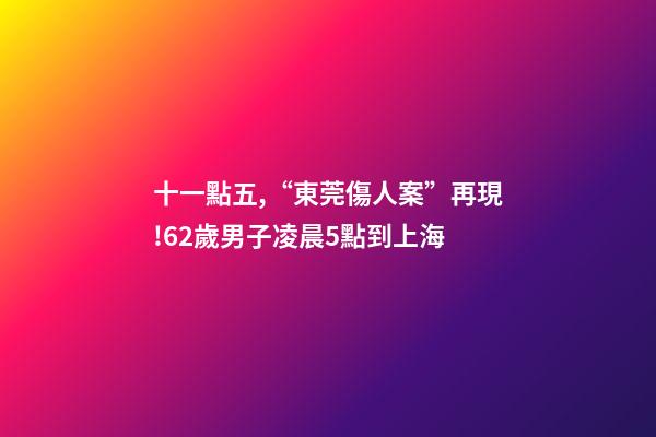十一點五,“東莞傷人案”再現!62歲男子凌晨5點到上海-第1張-觀點-玄機派