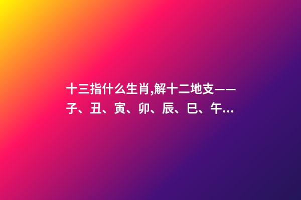 十三指什么生肖,解十二地支——子、丑、寅、卯、辰、巳、午、未、申、酉、戌、亥-第1張-觀點-玄機派