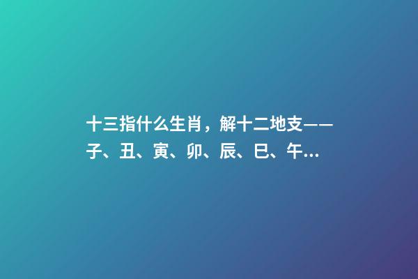 十三指什么生肖，解十二地支——子、丑、寅、卯、辰、巳、午、未、申、酉、戌、亥-第1張-觀點-玄機派