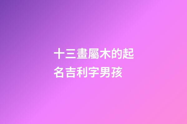 十三畫屬木的起名吉利字男孩(13畫屬木的字有哪些取名男)-第1張-男孩起名-玄機(jī)派