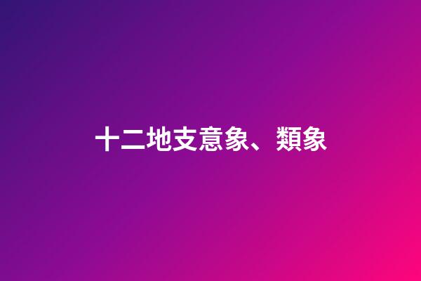 十二地支意象、類象