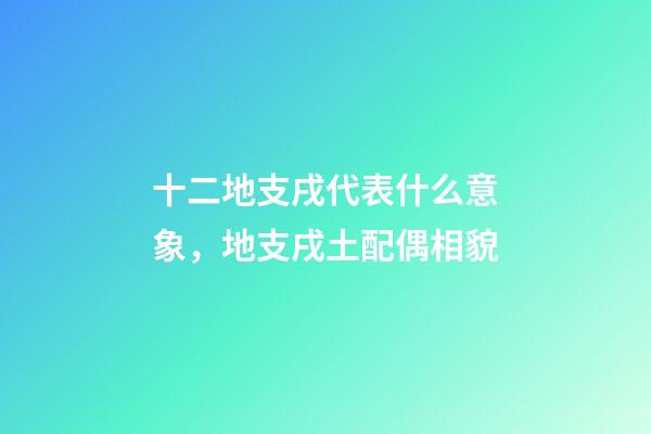 十二地支戌代表什么意象，地支戌土配偶相貌