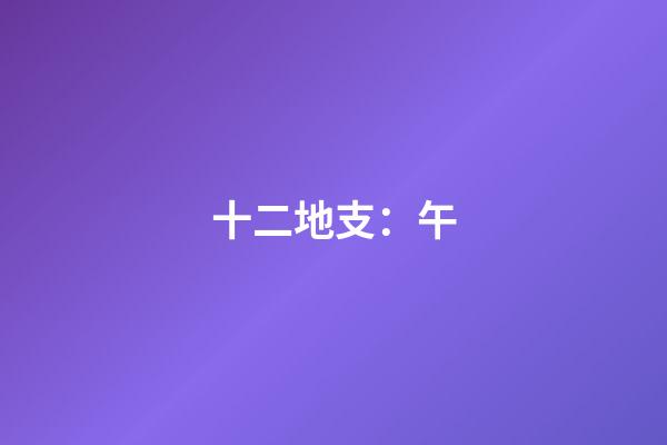 十二地支：午