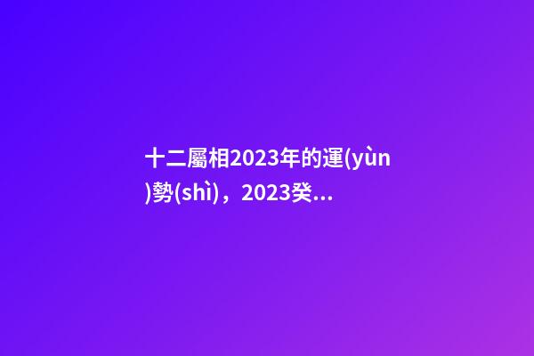 十二屬相2023年的運(yùn)勢(shì)，2023癸卯兔年-第1張-觀點(diǎn)-玄機(jī)派