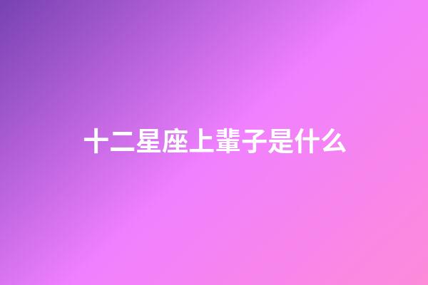 十二星座上輩子是什么-第1張-星座運勢-玄機派