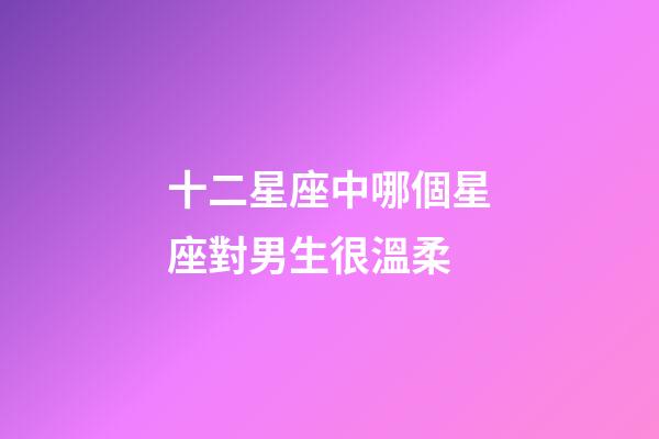 十二星座中哪個星座對男生很溫柔-第1張-星座運勢-玄機派