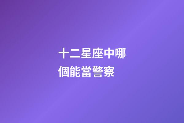 十二星座中哪個能當警察-第1張-星座運勢-玄機派