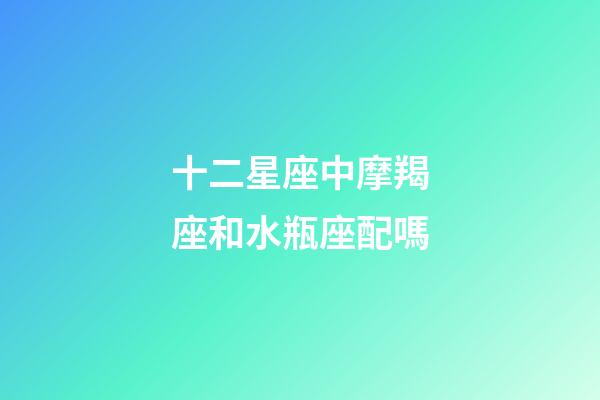 十二星座中摩羯座和水瓶座配嗎-第1張-星座運勢-玄機派