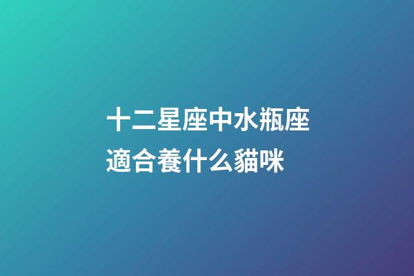 十二星座中水瓶座適合養什么貓咪-第1張-星座運勢-玄機派