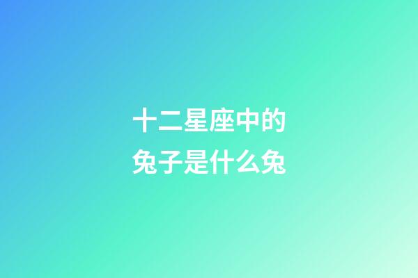 十二星座中的兔子是什么兔-第1張-星座運勢-玄機派