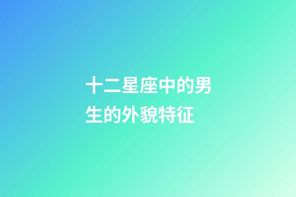 十二星座中的男生的外貌特征-第1張-星座運勢-玄機派