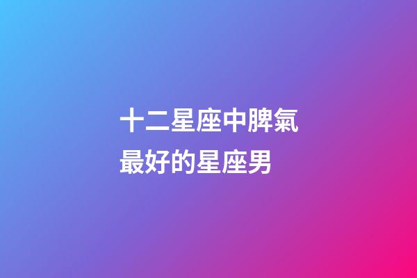 十二星座中脾氣最好的星座男-第1張-星座運勢-玄機派