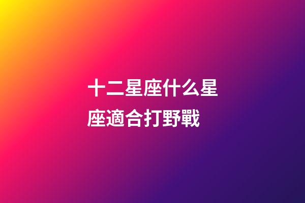 十二星座什么星座適合打野戰-第1張-星座運勢-玄機派