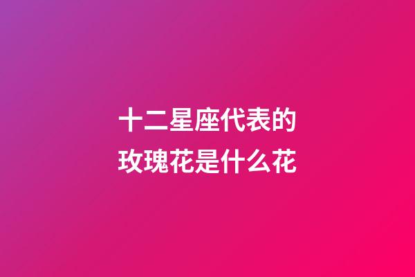 十二星座代表的玫瑰花是什么花-第1張-星座運勢-玄機派