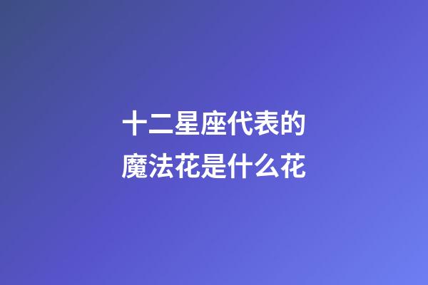 十二星座代表的魔法花是什么花-第1張-星座運勢-玄機派