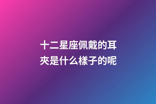 十二星座佩戴的耳夾是什么樣子的呢-第1張-星座運勢-玄機派