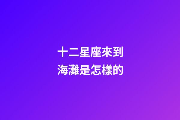 十二星座來到海灘是怎樣的-第1張-星座運勢-玄機派