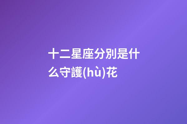 十二星座分別是什么守護(hù)花-第1張-星座運(yùn)勢(shì)-玄機(jī)派