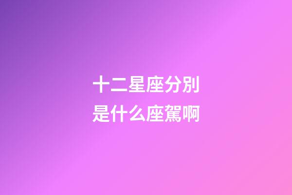 十二星座分別是什么座駕啊-第1張-星座運勢-玄機派