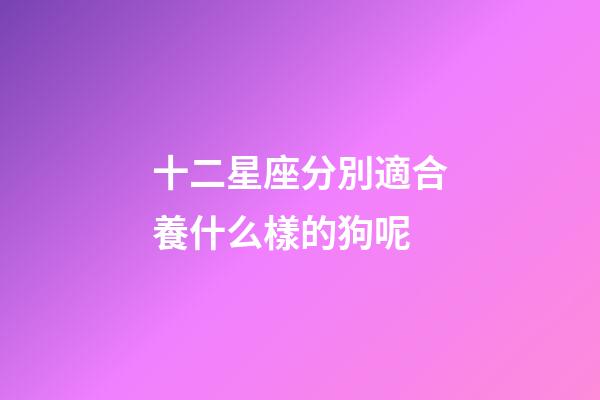 十二星座分別適合養什么樣的狗呢-第1張-星座運勢-玄機派