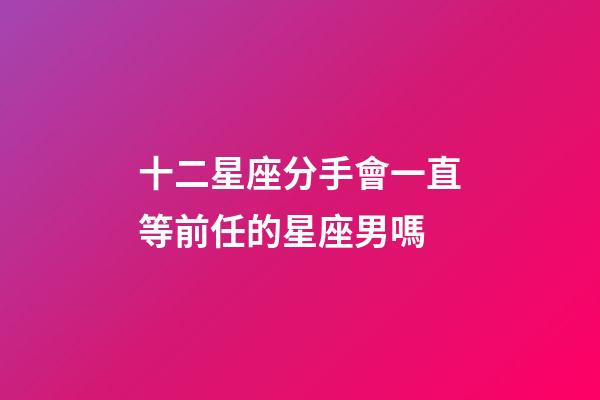 十二星座分手會一直等前任的星座男嗎-第1張-星座運勢-玄機派