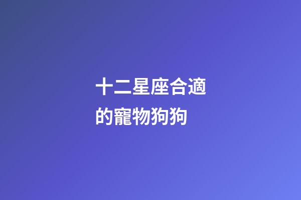 十二星座合適的寵物狗狗-第1張-星座運勢-玄機派
