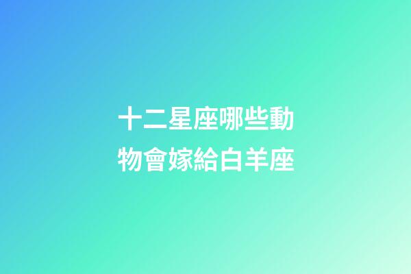 十二星座哪些動物會嫁給白羊座-第1張-星座運勢-玄機派