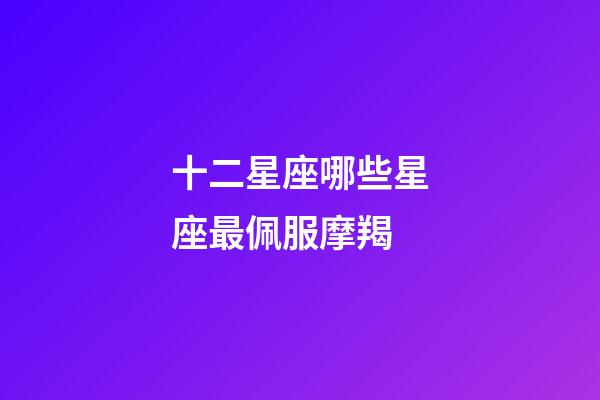 十二星座哪些星座最佩服摩羯-第1張-星座運(yùn)勢(shì)-玄機(jī)派